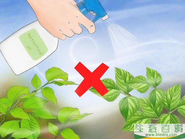怎么消灭介壳虫
