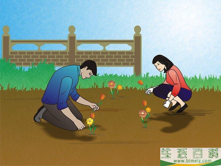 怎么防止土壤侵蚀