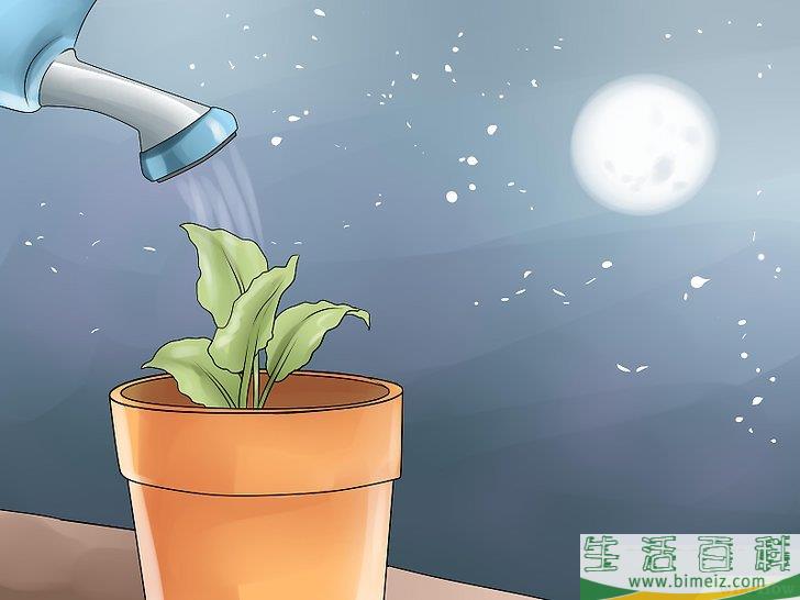 怎么选择给花园浇水的最佳时间