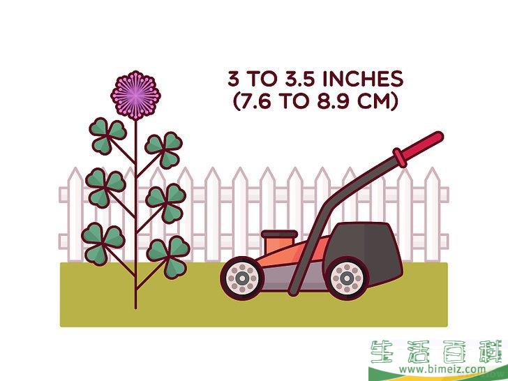 怎么清除三叶草