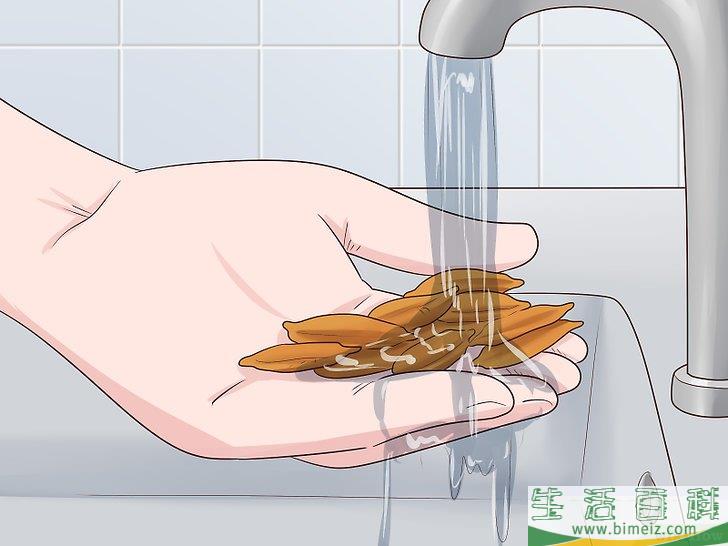 怎么从枣核开始培植椰枣树
