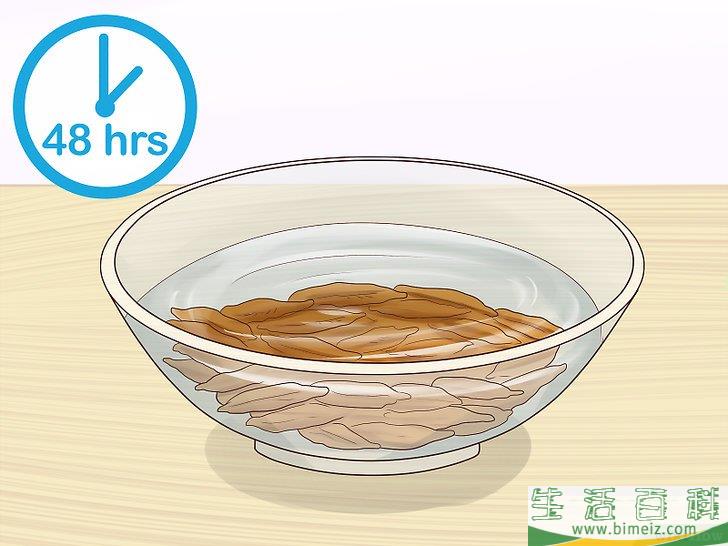 怎么从枣核开始培植椰枣树