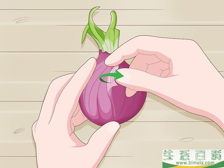 怎么种植发芽的洋葱