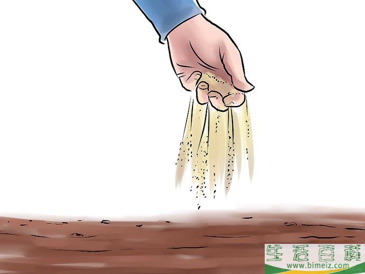 怎么种黄瓜