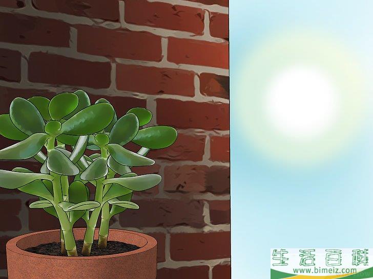 怎么消灭粉疥虫