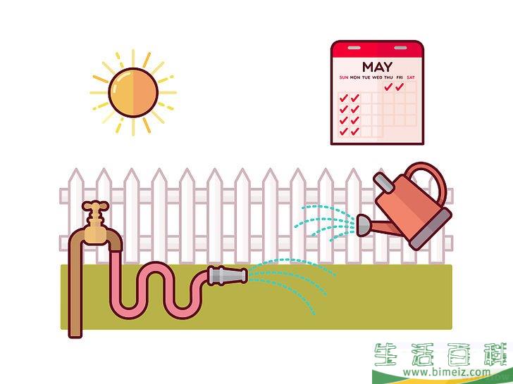 怎么清除三叶草