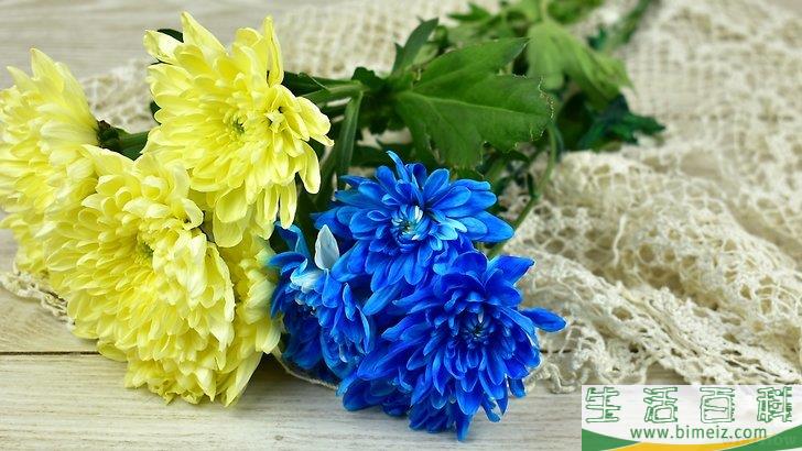 怎么压制干花