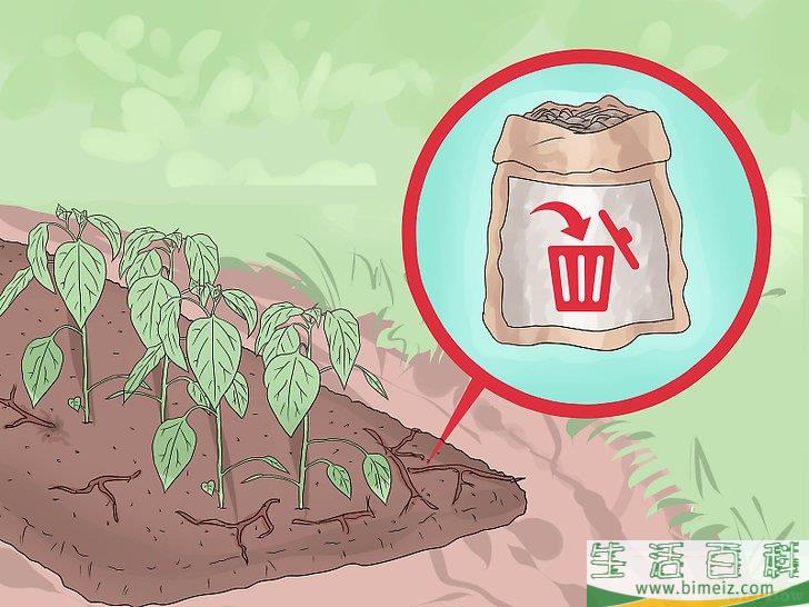 怎么照料植物