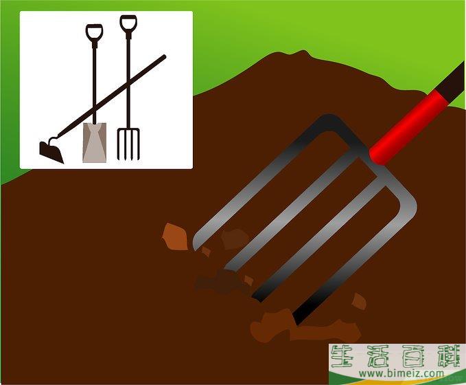 怎么种西瓜
