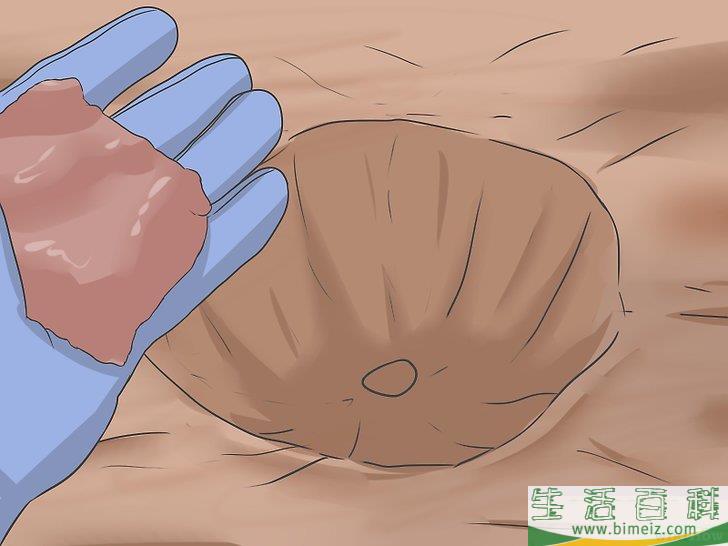 怎么种植向日葵种子