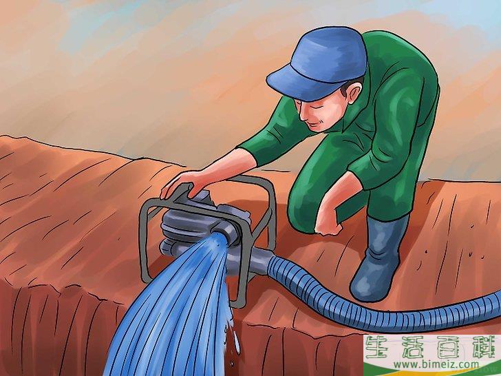 怎么种植大米