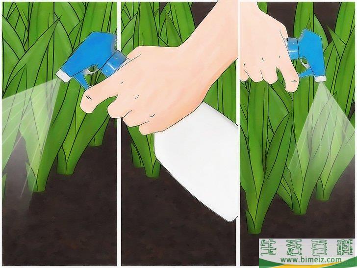 怎么用无农害的方法让兔子远离你的花园