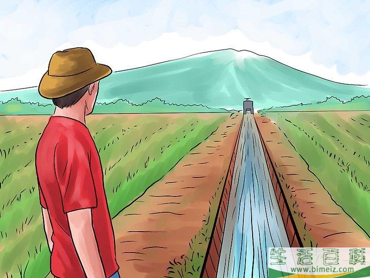 怎么种植大米