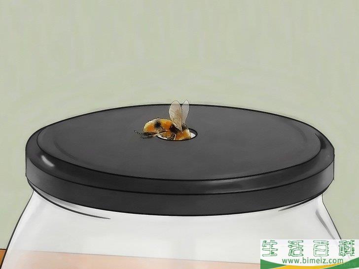 怎么把蜜蜂赶出家