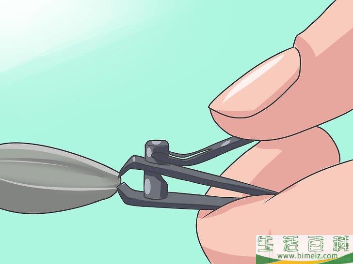 怎么种植向日葵种子