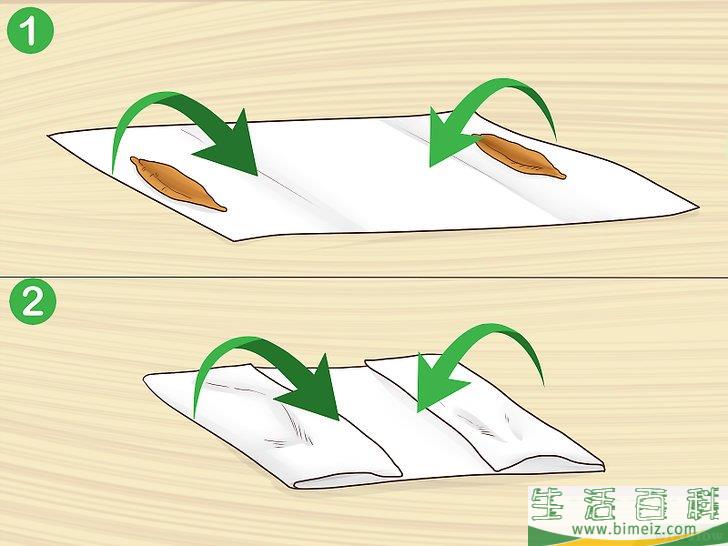 怎么从枣核开始培植椰枣树