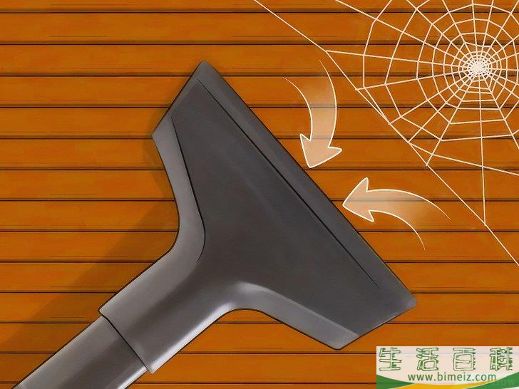 怎么清除屋里的蜘蛛