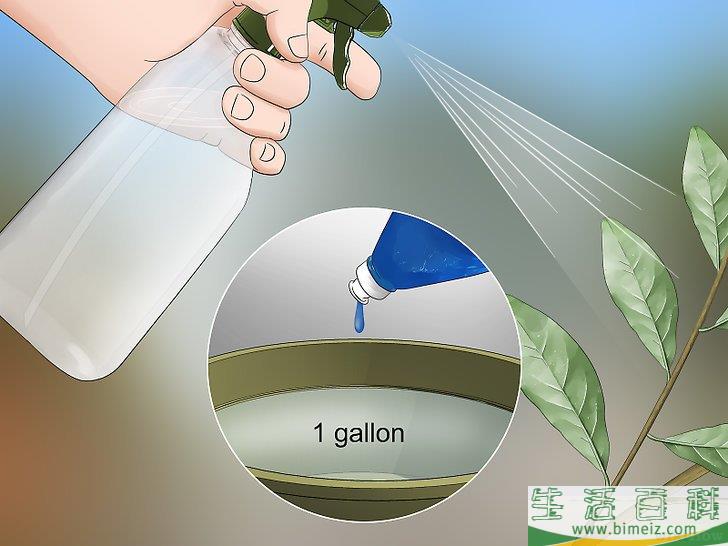 怎么除去粉虱