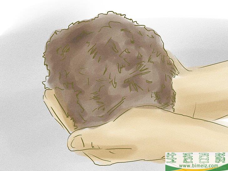 怎么杀死树根