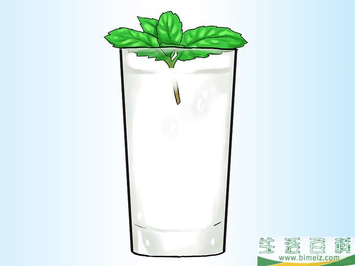 怎么在花盆里种植薄荷