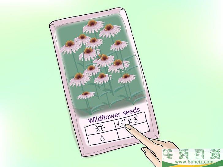 怎么种植野花