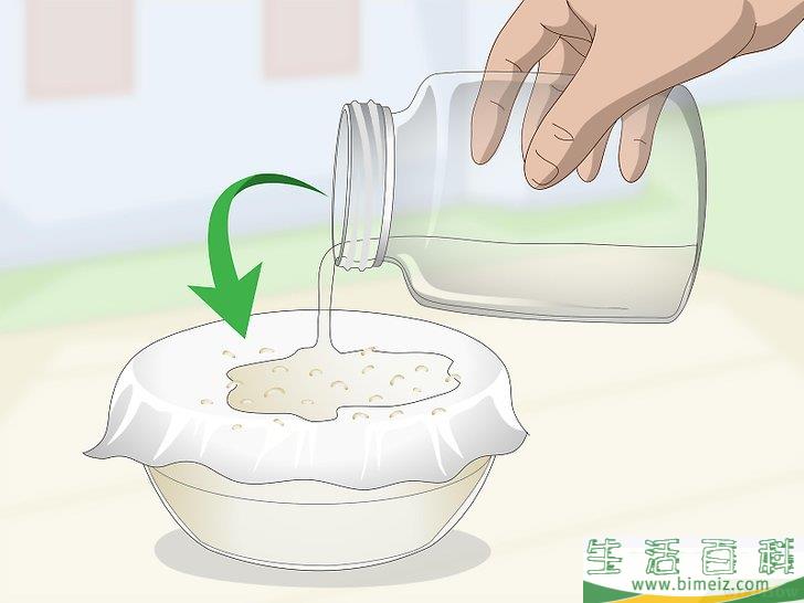 怎么用大蒜制作花园喷剂
