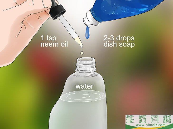怎么消灭粉疥虫