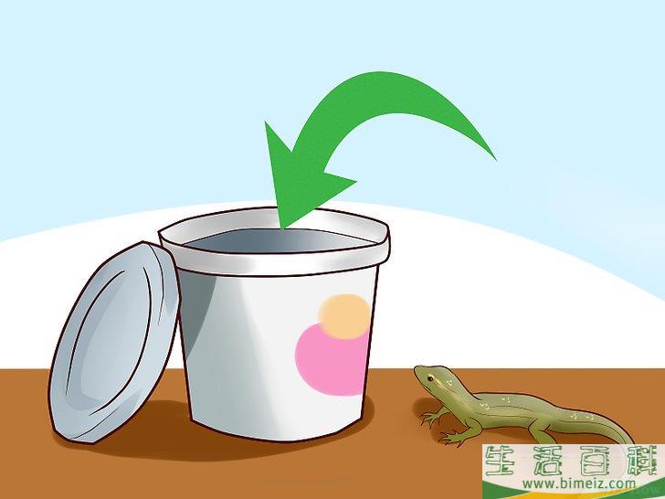怎么抓住屋内的蜥蜴