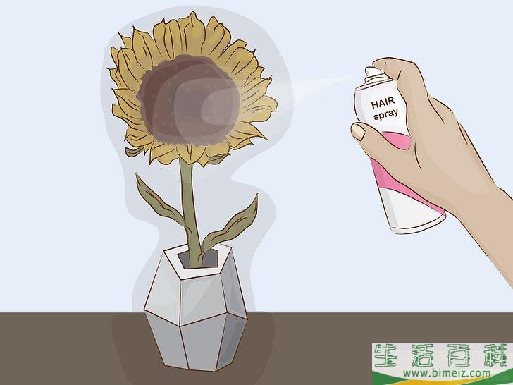 怎么干燥向日葵
