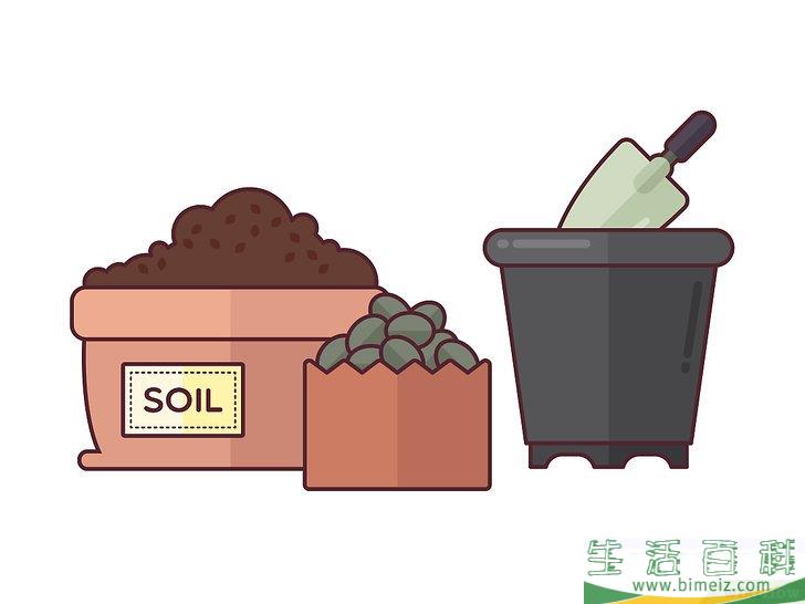 怎么在室内种植仙人掌