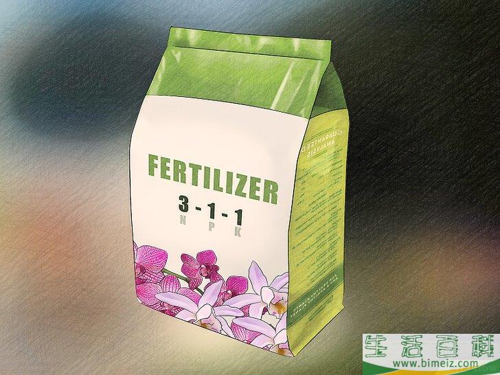怎么让兰花开花