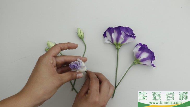 怎么制作干花
