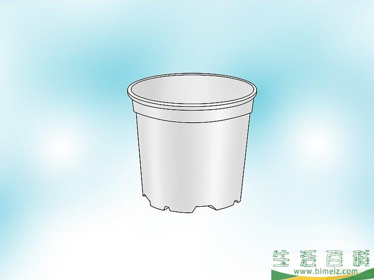 怎么种植捕蝇草