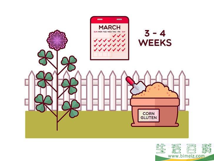 怎么清除三叶草