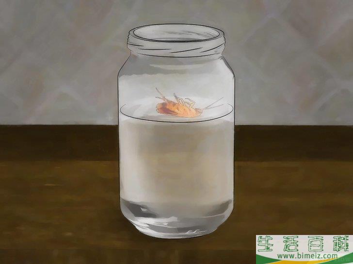 怎么消除蟑螂
