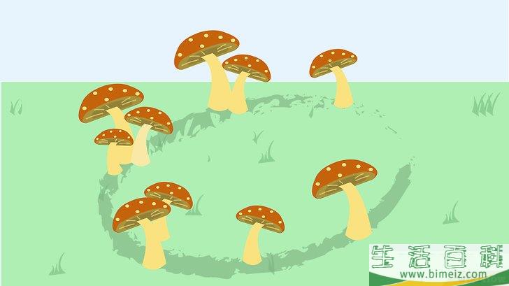 怎么消灭蘑菇