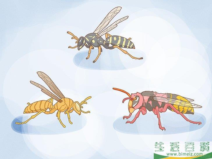 怎么清除黄蜂巢