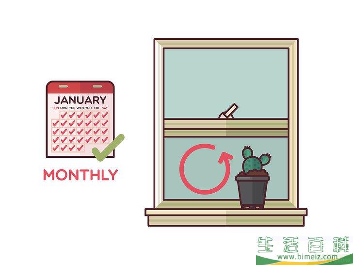 怎么在室内种植仙人掌