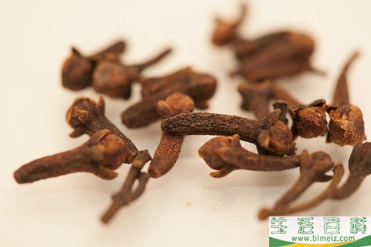 怎么用丁香赶走家里的苍蝇