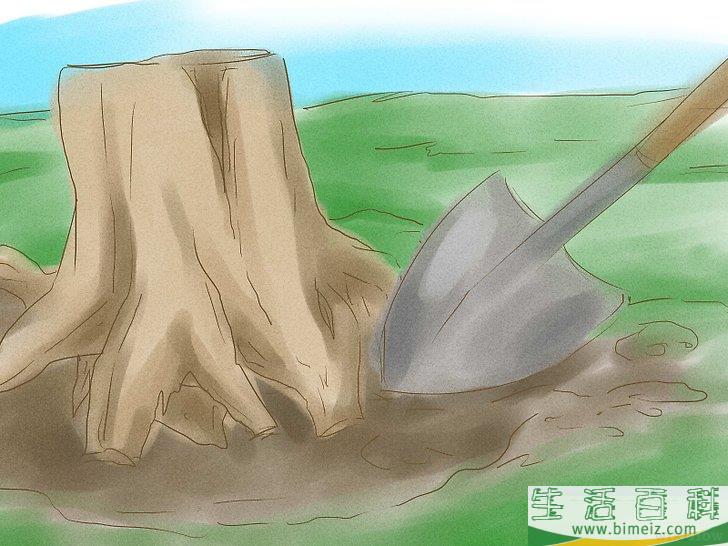 怎么杀死树根