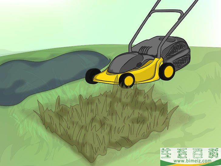 怎么种植野花