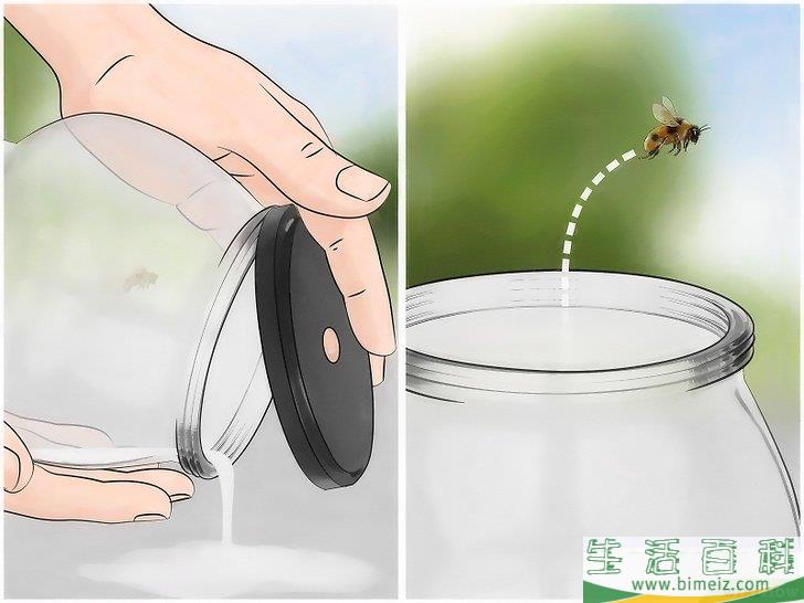 怎么把蜜蜂赶出家