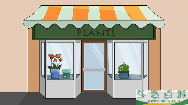 怎么种植室内盆栽