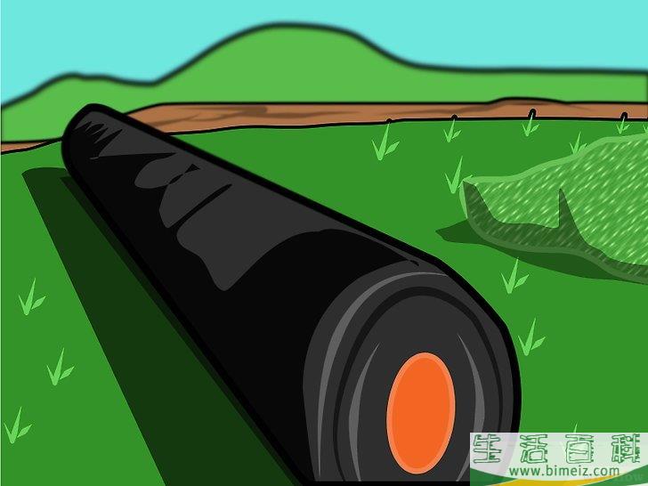 怎么开始苗圃业