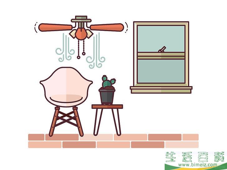 怎么在室内种植仙人掌