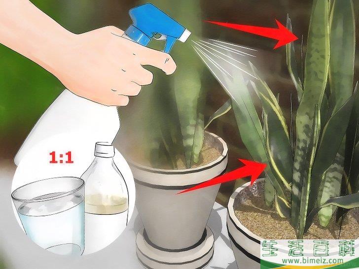 怎么除去粉虱