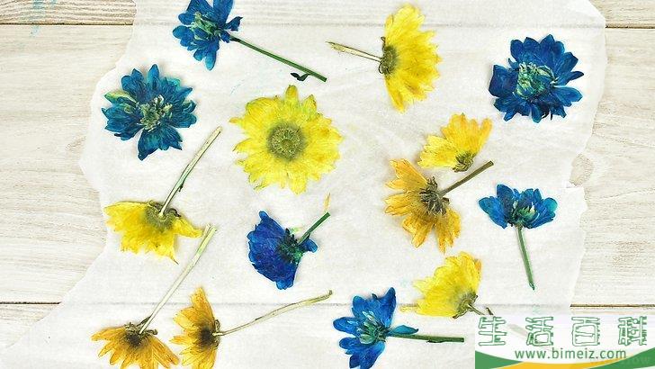 怎么压制干花