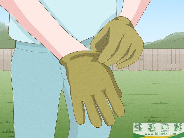怎么除去莎草
