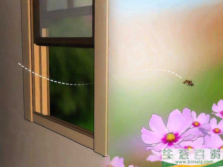 怎么把蜜蜂赶出家