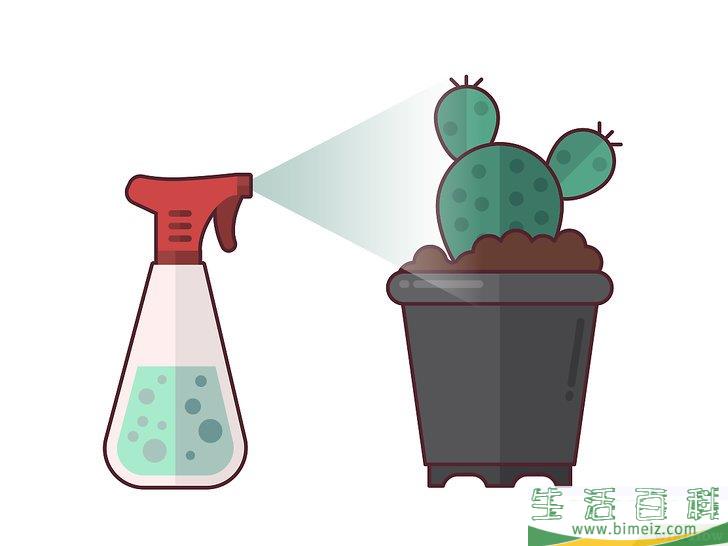 怎么在室内种植仙人掌